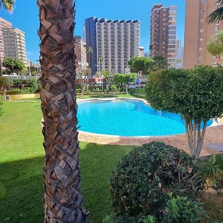 Adelfas - Fincas Arena Benidorm Exteriör bild